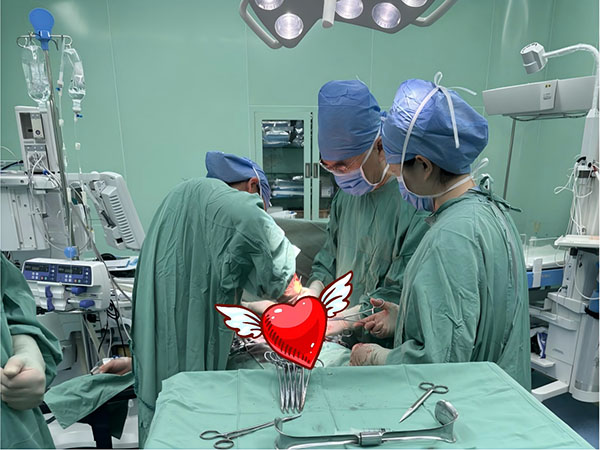 图片1.jpg 图片1.jpg